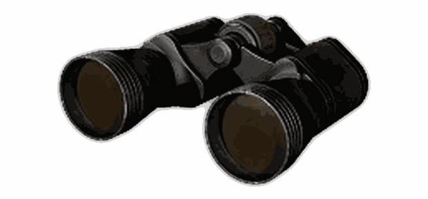 Binoculars — WARDOGS
