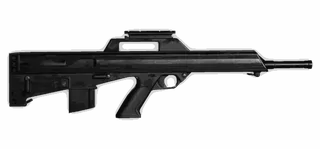Bushmaster M17S