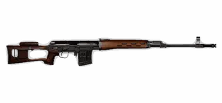 SVD
